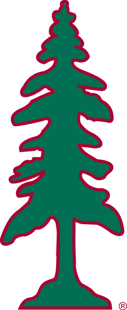 Stanford Cardinal 1993-2013 Alternate Logo DIY iron on transfer (heat transfer)